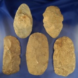 Set of five Flint & stone Celts, largest is 5 1/4