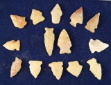 Set of 14 assorted Arrowheads found in Greenup Co., Kentucky. From the Judge Claxton