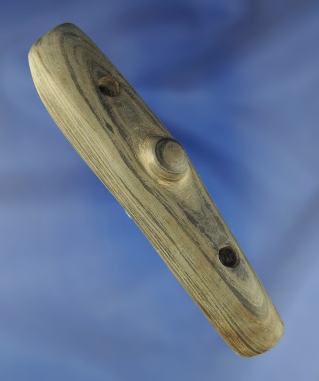 Rare style 4 9/16" Spineback Gorget found in Ashland Co.,  Ohio.