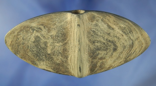 5 3/8" Winged Bannerstone found in Erie Co.,  Pennsylvania. Bennett and Davis G – 10 COA's.