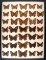 12x16 Frame of Tortishells, Red Admirals, and misc. USA from 1930's.
