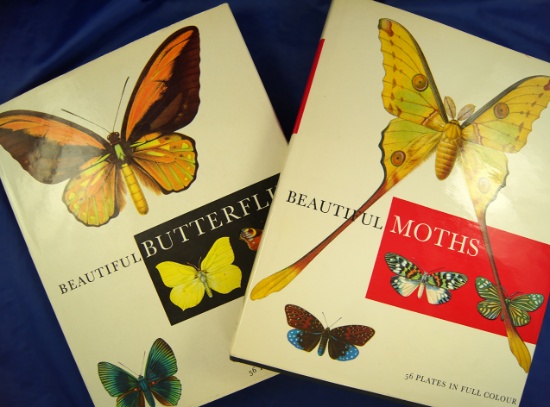 Pair of hardback books: "Beautiful Moths", and "Beautiful Butterflies".