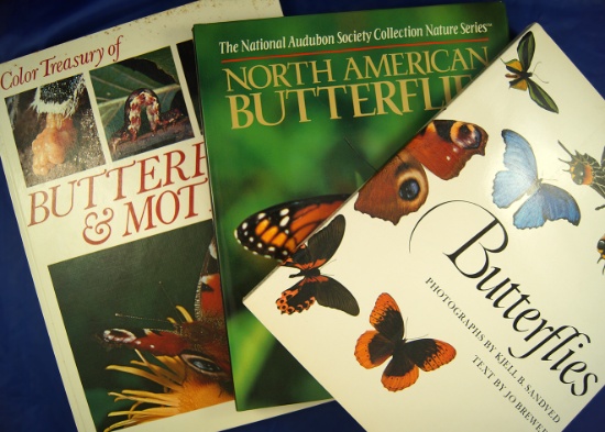3 books: "Butterflies", "North American Butterflies", and "Color Treasury of Butterflies and Moths".