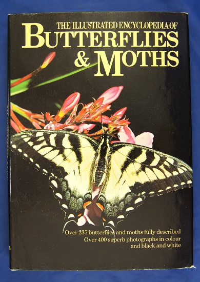 Hardback "The Illustrated Encyclopedia of Butterflies & Moths".