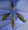 Set of four nice Obsidian Arrowheads, largest is 2 9/16