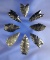 Set of eight Obsidian Arrowheads found in Oregon and Nevada, largest is 1 1/2