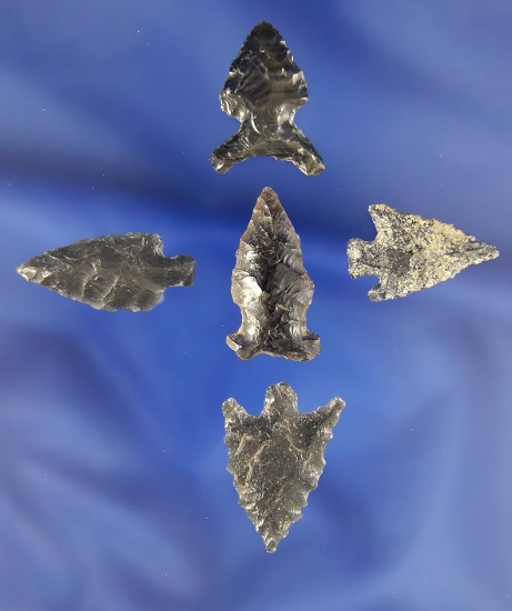 Set of five Obsidian Arrowheads found in Oregon and nice condition. Largest is 1".