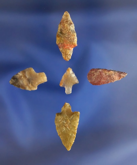 Set of five small Gempoints, largest is 13/16" found on the Oregon side of the Columbia River Gorge.