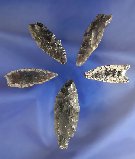 Set of four Obsidian arrowheads, largest is 2 1/16" found in Idaho and Oregon.