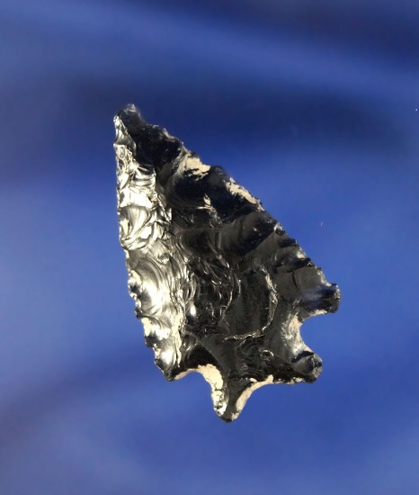 1 7/16" Obsidian found in Lake County Oregon in the 1950s – 1970s.