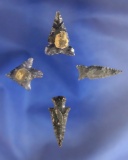 Set of four nice Obsidian Arrowheads, largest is 1