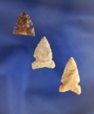 Set of three Desert Sidenotch Arrowheads, largest is 7/8