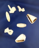 Set of seven assorted Shell Artifacts found in Arizona. Includes drilled shell beads.