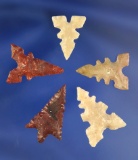 Five exceptionally well made assorted Arrowheads found in the Arizona/New Mexico area.
