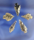 Set of five assorted arrowheads, largest is 1 1/16