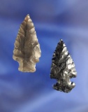 Pair of Obsidian Arrowheads in very nice condition found near the Columbia River, largest is 1 9/16