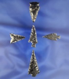Set of five Obsidian Arrowheads found in Oregon, largest is 1 1/2
