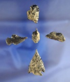 Set of five Obsidian Arrowheads, largest is 1 5/16