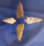 Set of four Columbia River Arrowheads, largest is 1 9/16