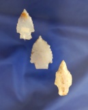 Set of three semi translucent Arrowheads, largest is 1 1/4