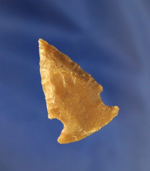 1 1/2" Caracara  Arrowhead found in Wilson County Texas made from quality material.