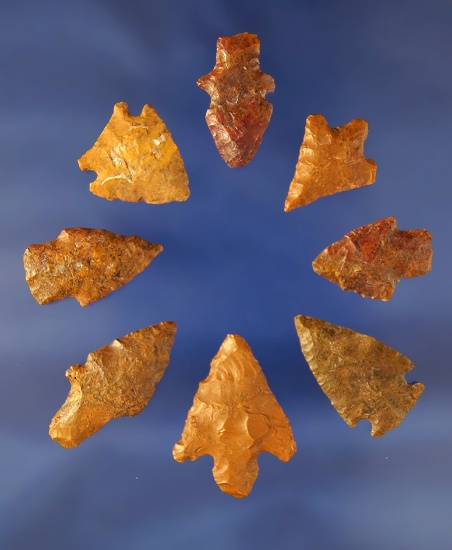 Set of 8 assorted western   Arrowheads.  Largest is 1 1/4".