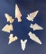 Nice group of eight assorted Texas area Arrowheads, largest is 1