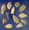 Set of 12 assorted Ohio Arrowheads, largest is 2 1/16