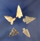 Set of five Texas area Arrowheads, largest is 1 1/8