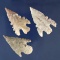 Set of three nice New Mexico Arrowheads, largest is 1 3/4
