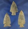 Set of three nicely flaked Kentucky Arrowheads, largest is 2 3/8