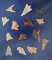 Set of 14 assorted Bird Points found in the southwestern U. S., Largest is 15/16