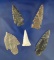 Group of five nice Kentucky Arrowheads, largest is 1 9/16