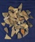 Set of 50 Triangle Arrowheads found in Greenup Co.,  Kentucky from the Judge Claxton collection.