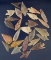Group of 25 assorted African Neolithic Arrowheads.