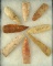Set of eight assorted Sedalia Knives and Points, largest is 3 3/8