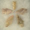 Set of five assorted Arrowheads, largest is 2 5/16