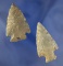 Pair of Kentucky Arrowheads found that the Capps site in Todd Co., , largest is 2 5/16