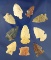 Set of 10 assorted Arrowheads, largest is 1 5/8