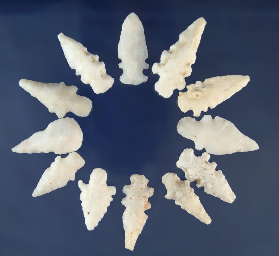 Group of 12 Duran Points found in New Mexico, largest is 1 5/8"
