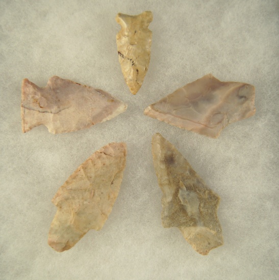 Set of five assorted Arrowheads, largest is 2 5/16" found in Missouri.