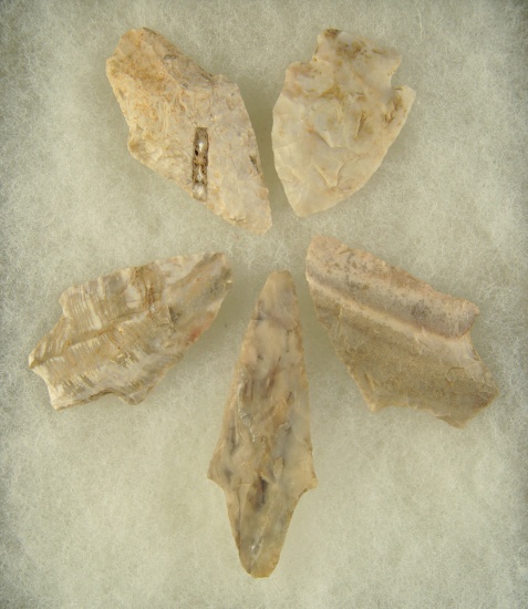 Set of five Arrowheads, largest is 2 9/16" found in Missouri.