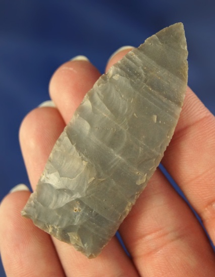 2 7/16" Woodland Period Lanceolate found in Kentucky.