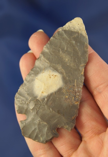 3 1/16" Hornstone Dovetail found in Daviess Co.,  Kentucky.
