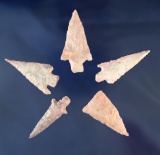 Nice assortment of five Arizona/New Mexico Arrowheads, largest is 2 1/16