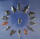 Set of 15 assorted Obsidian Arrowheads from the western US, largest is 1 1/8