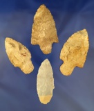 Group of four Adena Arrowheads found in Ohio, largest is 2 3/4