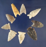Group of nine assorted Arrowheads found near the Belle Fourche River in Wyoming.
