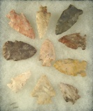 Set of 10 assorted Arrowheads, largest is 1 11/16