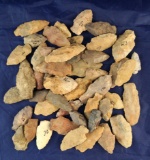 Group of 50 assorted field found Arrowheads, largest is 2 1/16